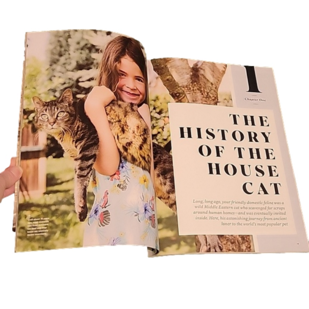 2019 LIFE Magazine "Cats: Companions in Life" Brand New Condition - Picture 4 of 6